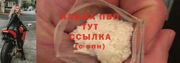 прущая мука Дмитриев