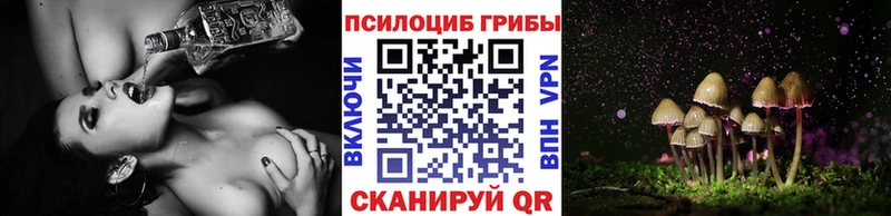 Псилоцибиновые грибы Cubensis  Купить где  Анадырь 